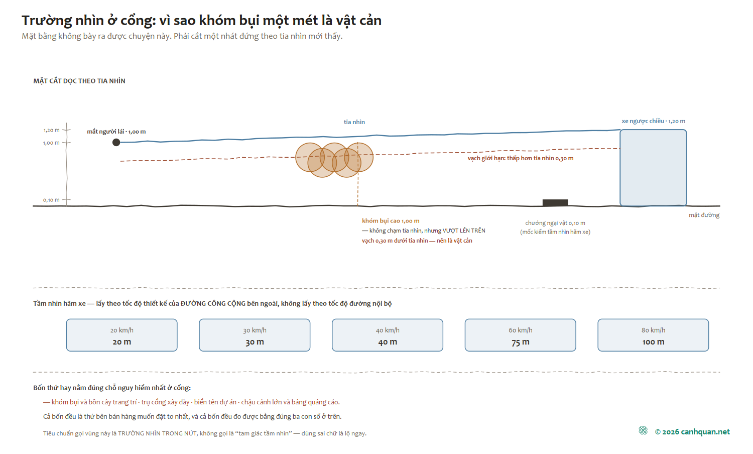 Mặt cắt dọc theo tia nhìn tại chỗ ra vào: mắt người lái 1,00 m, xe ngược chiều 1,20 m, vạch giới hạn thấp hơn tia nhìn 0,30 m, và khóm bụi cao 1,00 m vượt lên trên vạch ấy