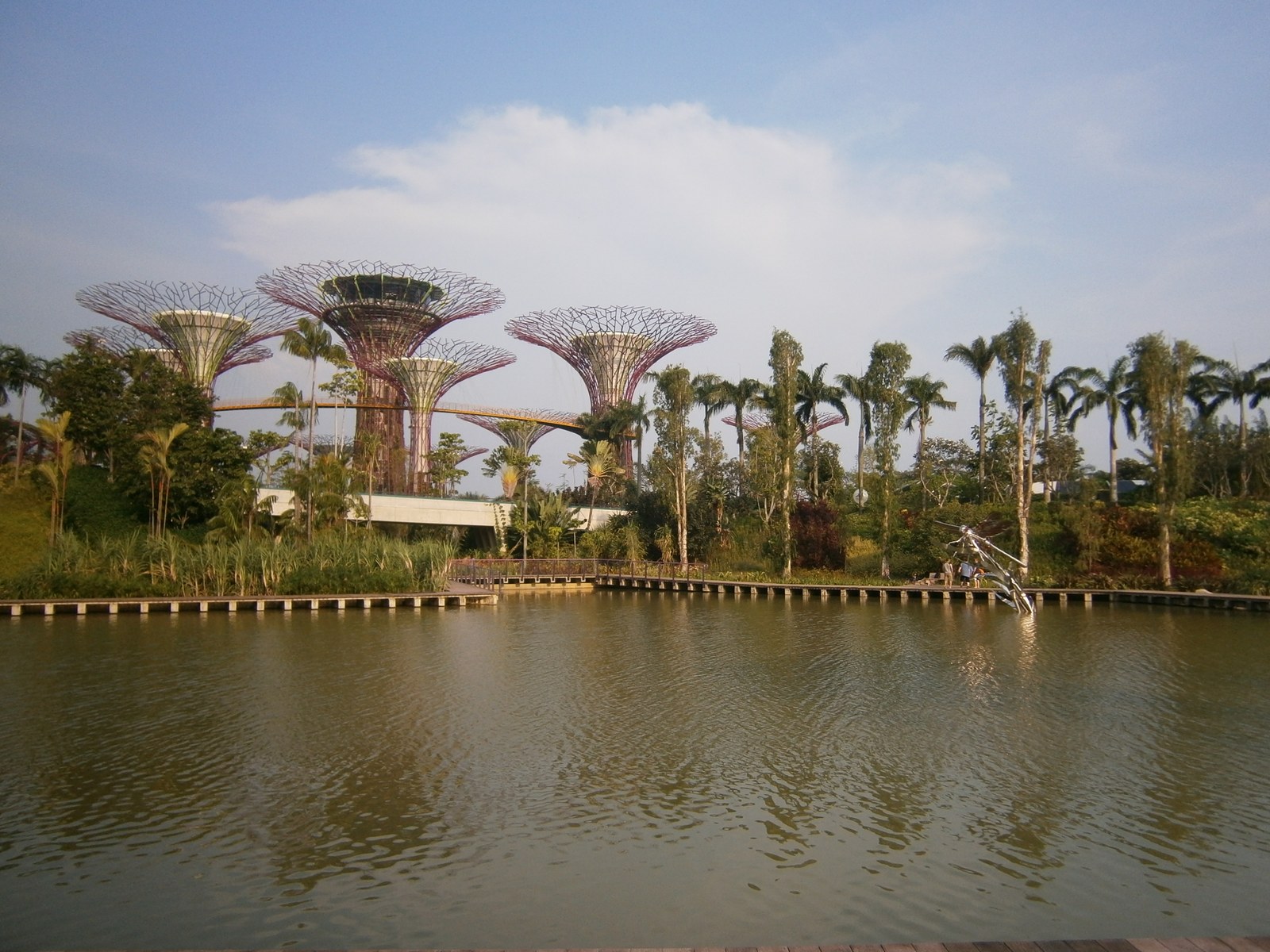 Cụm Supertree nhìn từ lối gỗ ven hồ, ban ngày trời quang