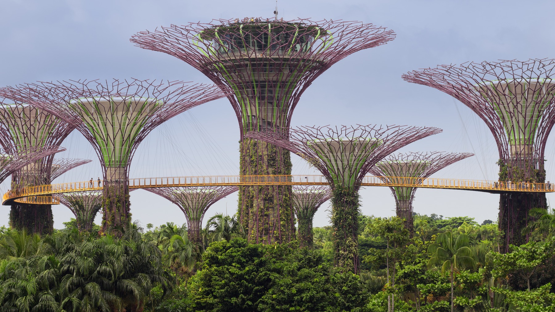 Supertree ở Singapore: cây thép nào cũng đang thở hộ nhà kính bên cạnh