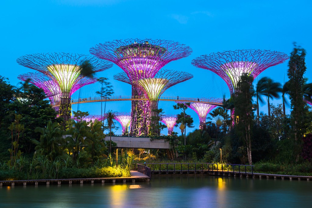 Supertree phát sáng tím lúc chạng vạng, phản chiếu trên lối gỗ ven nước
