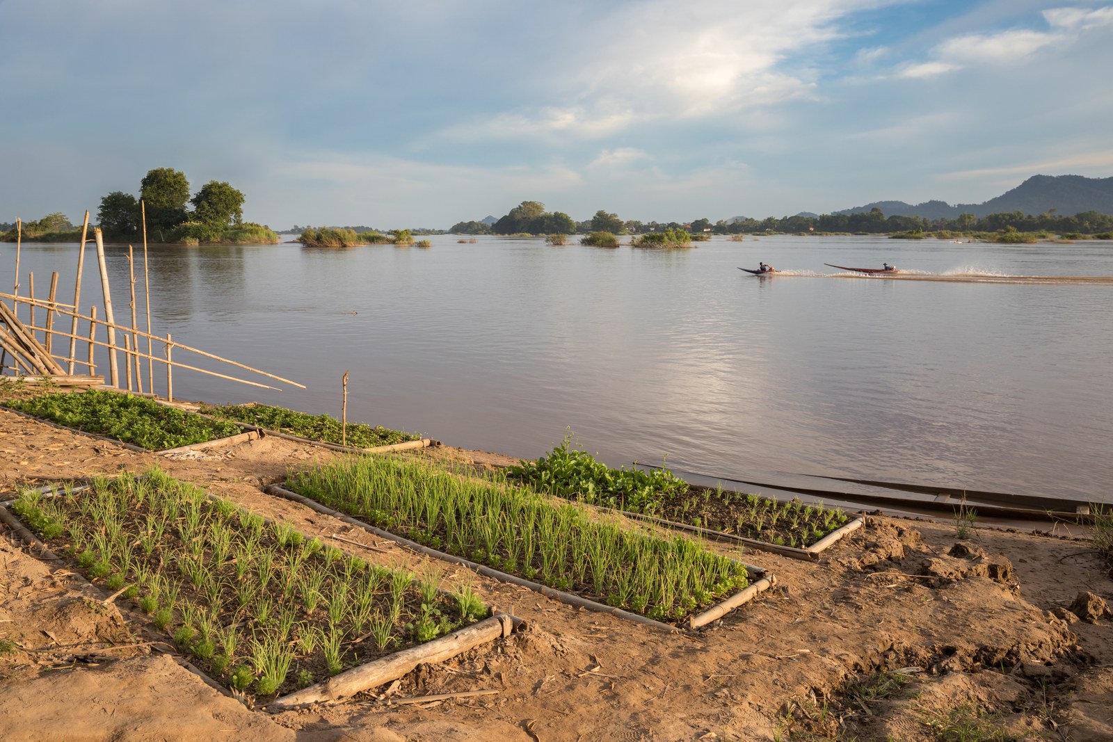 Ảnh minh hoạ — Vườn rau ven bờ sông Mekong