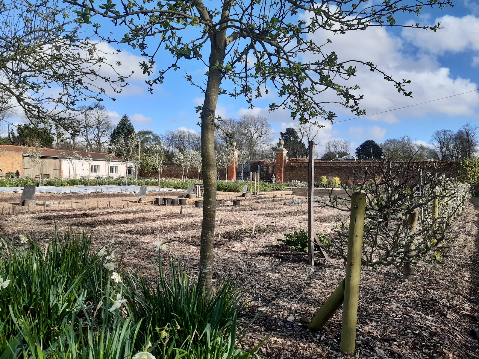 Ảnh minh hoạ — Luống rau vườn Chiswick House mùa đông trơ đất