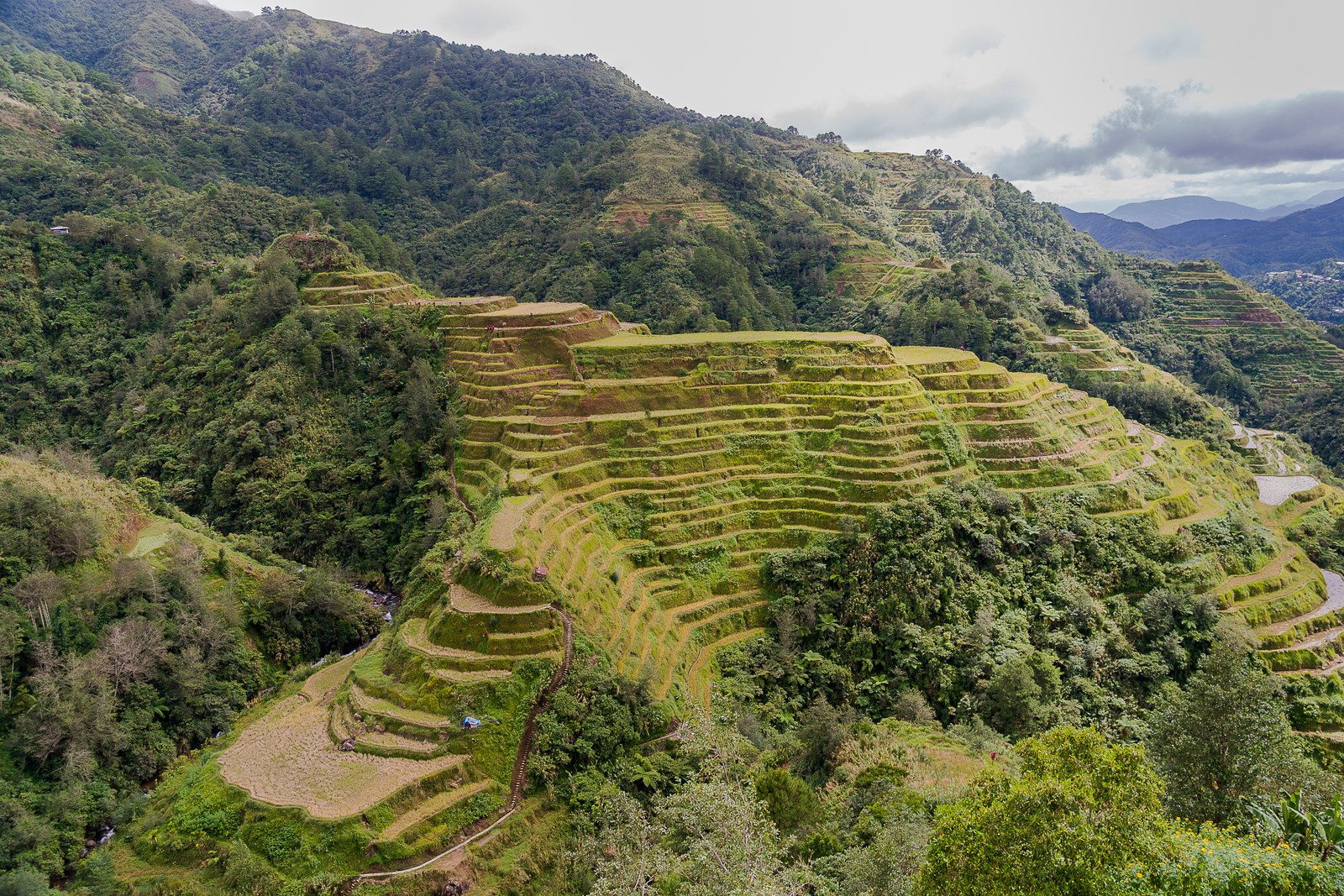 Ảnh minh hoạ — Ruộng bậc thang Banaue