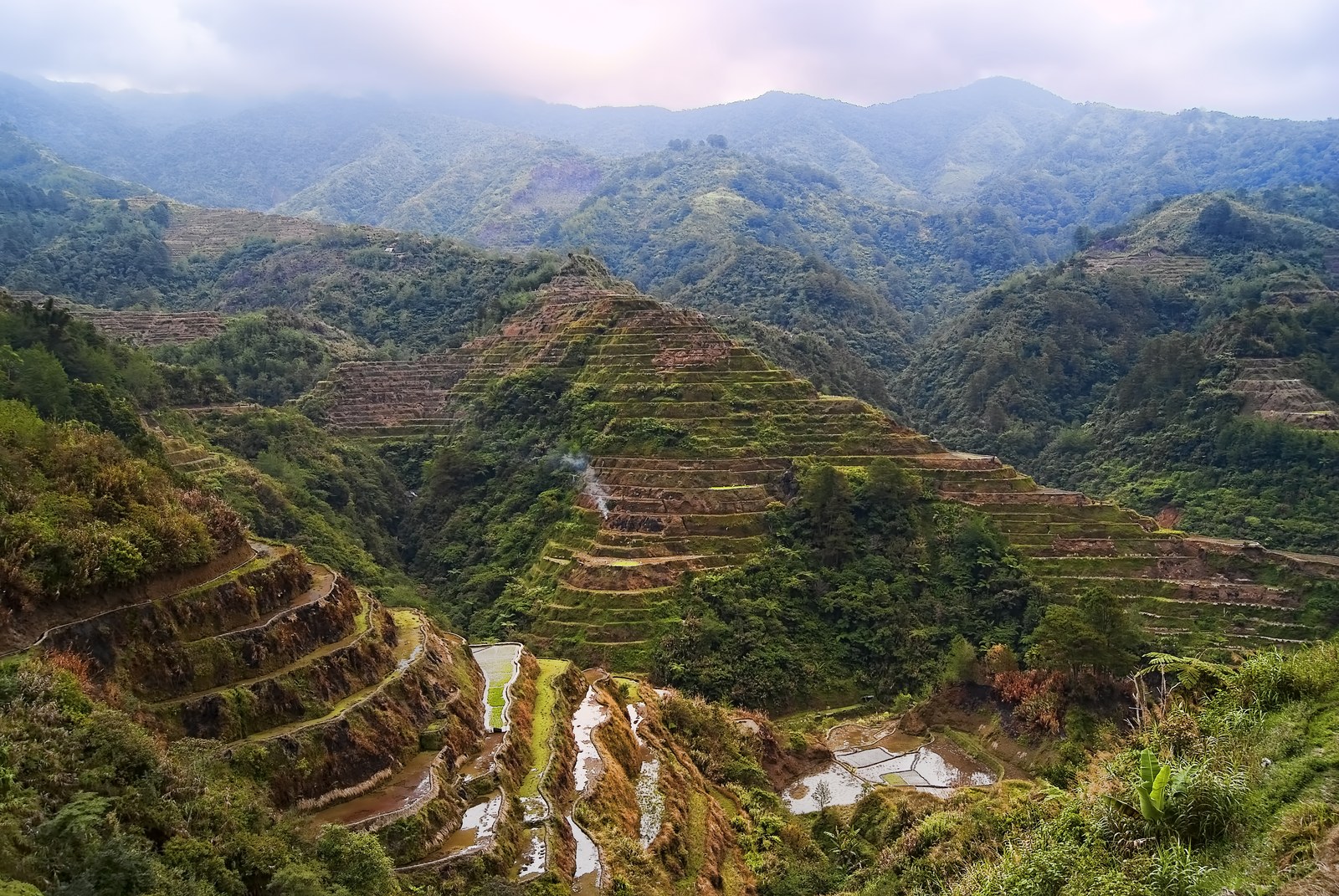 Ảnh minh hoạ — Ruộng bậc thang Batad