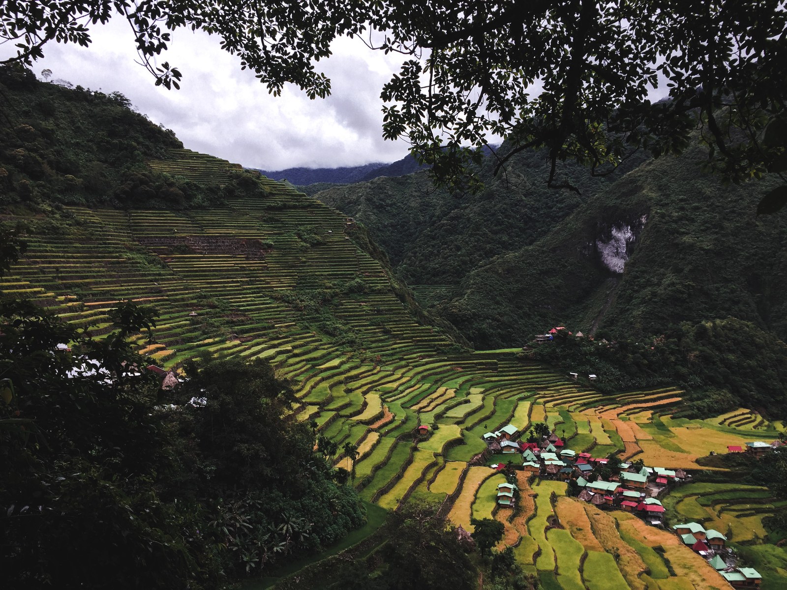 Ảnh minh hoạ — Ruộng bậc thang Batad