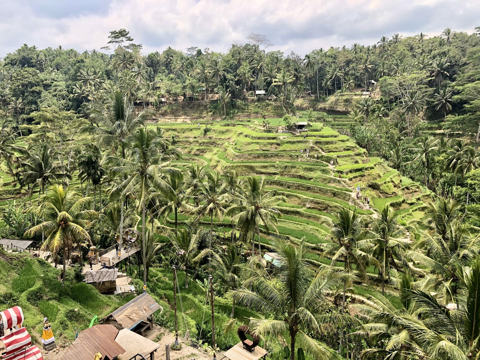 Ảnh minh hoạ — Ruộng bậc thang Tegallalang