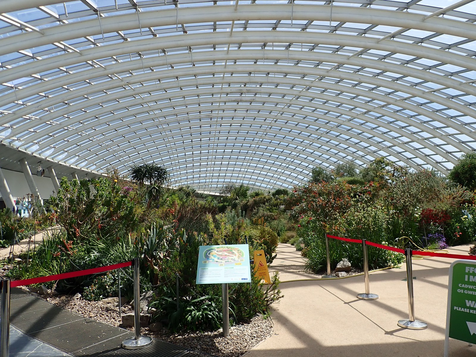 Vườn bách thảo — Nhà kính lớn (Great Glasshouse) nhìn từ bên trong