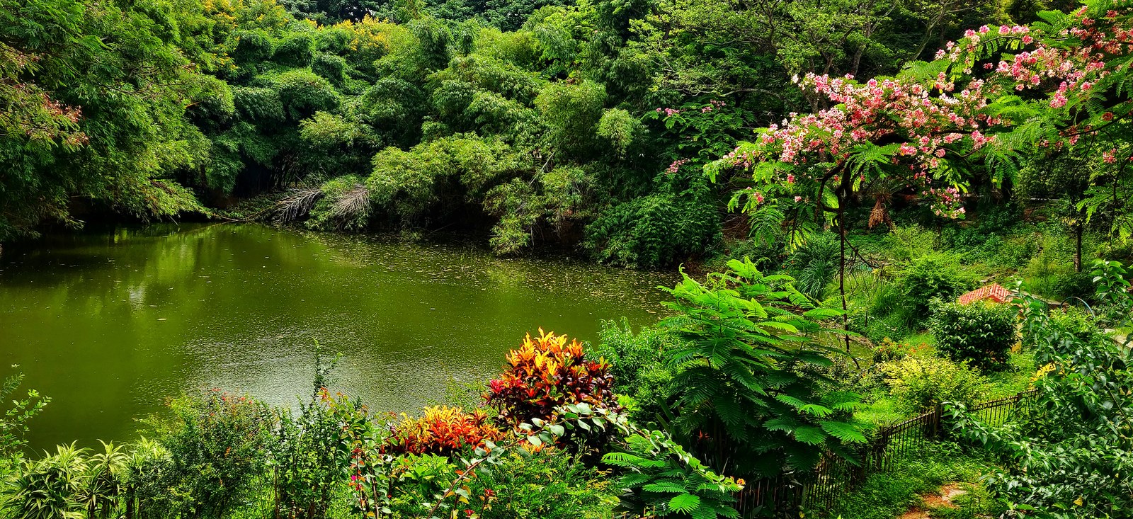 Vườn bách thảo — Hồ nước trong vườn Lalbagh Botanical Garden