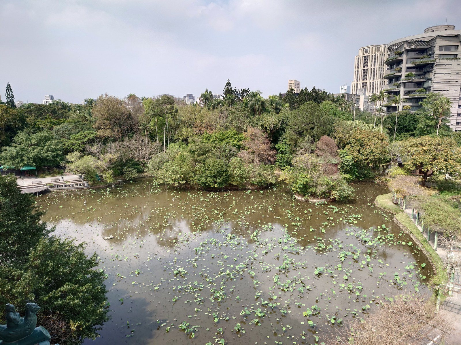 Vườn bách thảo — Hồ sen tại vườn thực vật Taipei