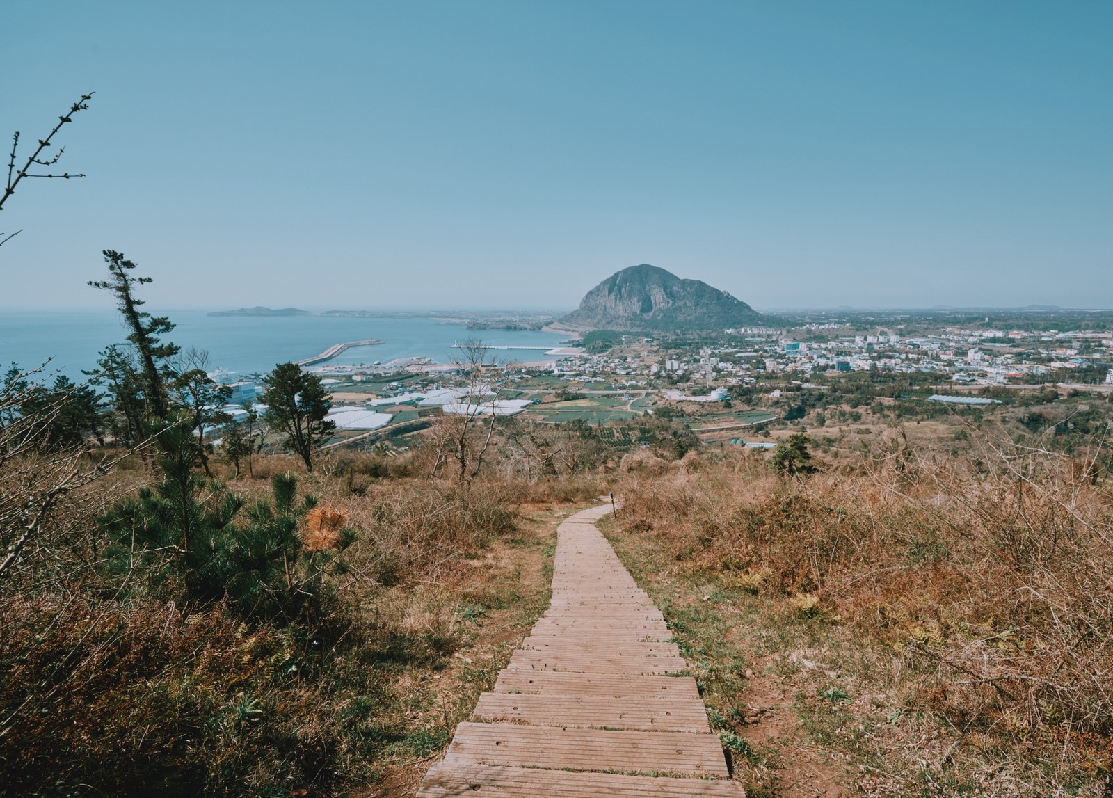 Một đoạn đường mòn ven biển thuộc tuyến Jeju Olle
