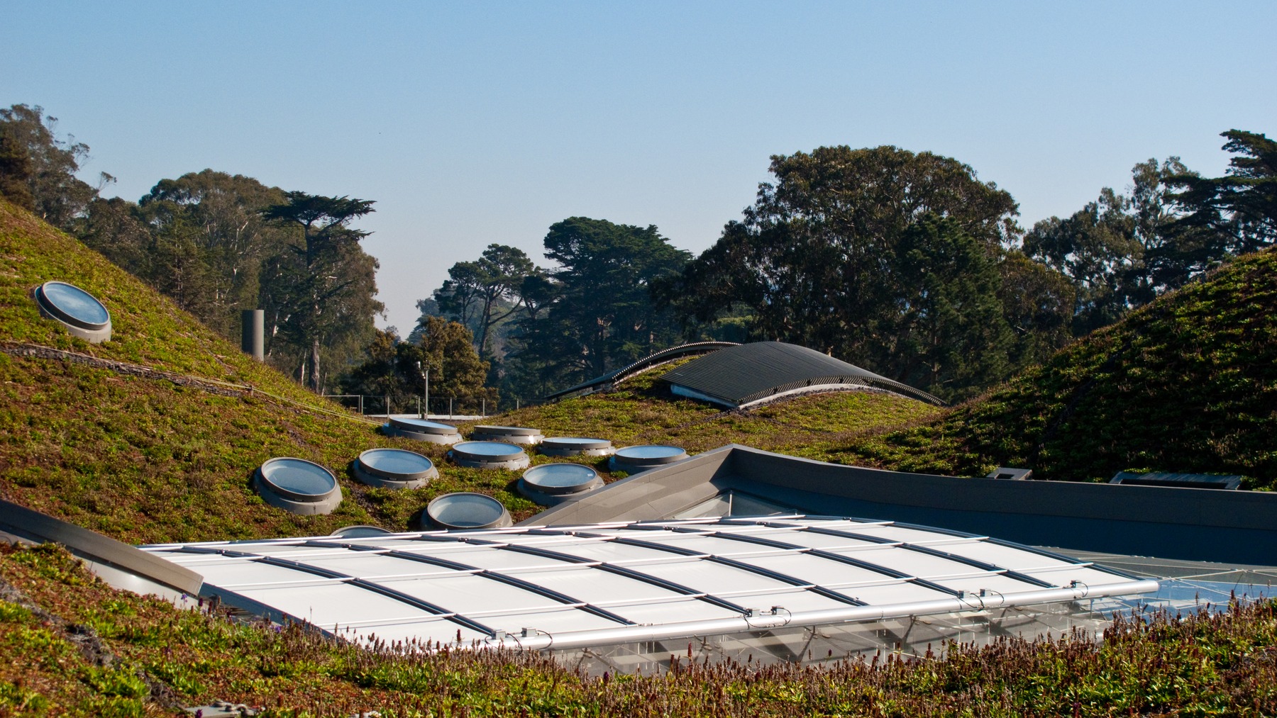 Từ Land Art tới một mái đồi thở được — cảnh quan đi từ hiện đại sang đương đại bằng đường nào? | Lịch Sử Thiết Kế Cảnh Quan · Phần 4