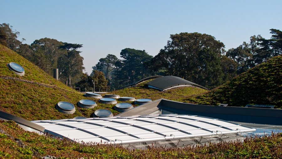 Từ Land Art tới một mái đồi thở được — cảnh quan đi từ hiện đại sang đương đại bằng đường nào? | Lịch Sử Thiết Kế Cảnh Quan · Phần 4