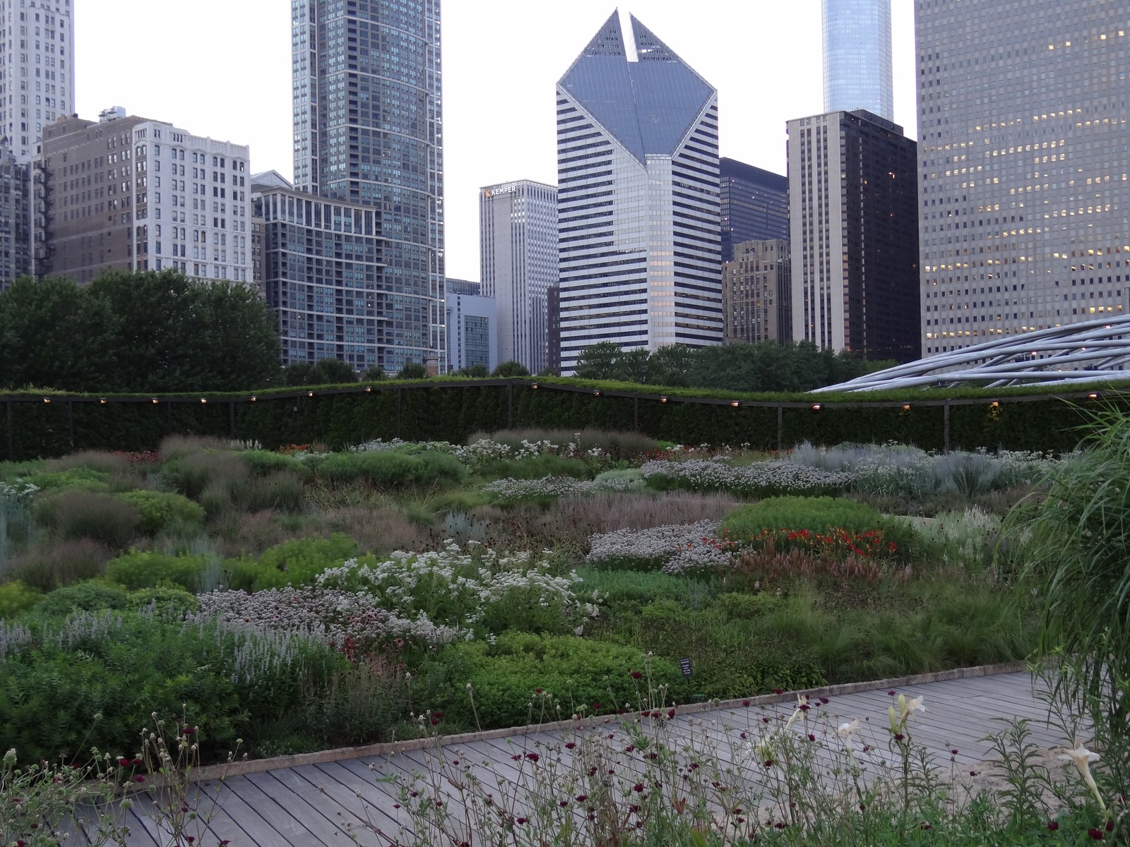 Lurie Garden với lối trồng cây lâu năm kiểu Oudolf, skyline phía xa