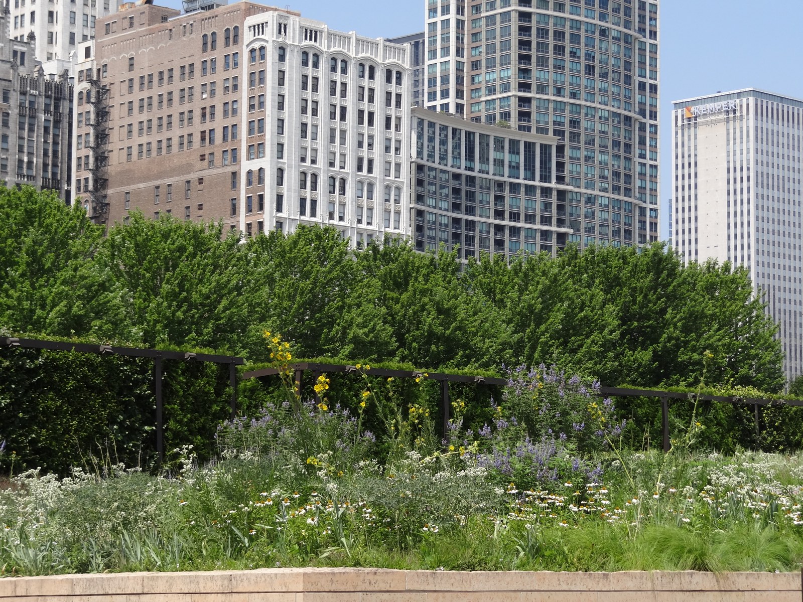 Một góc rợp bóng của Lurie Garden với luống hoa và hàng rào lưới