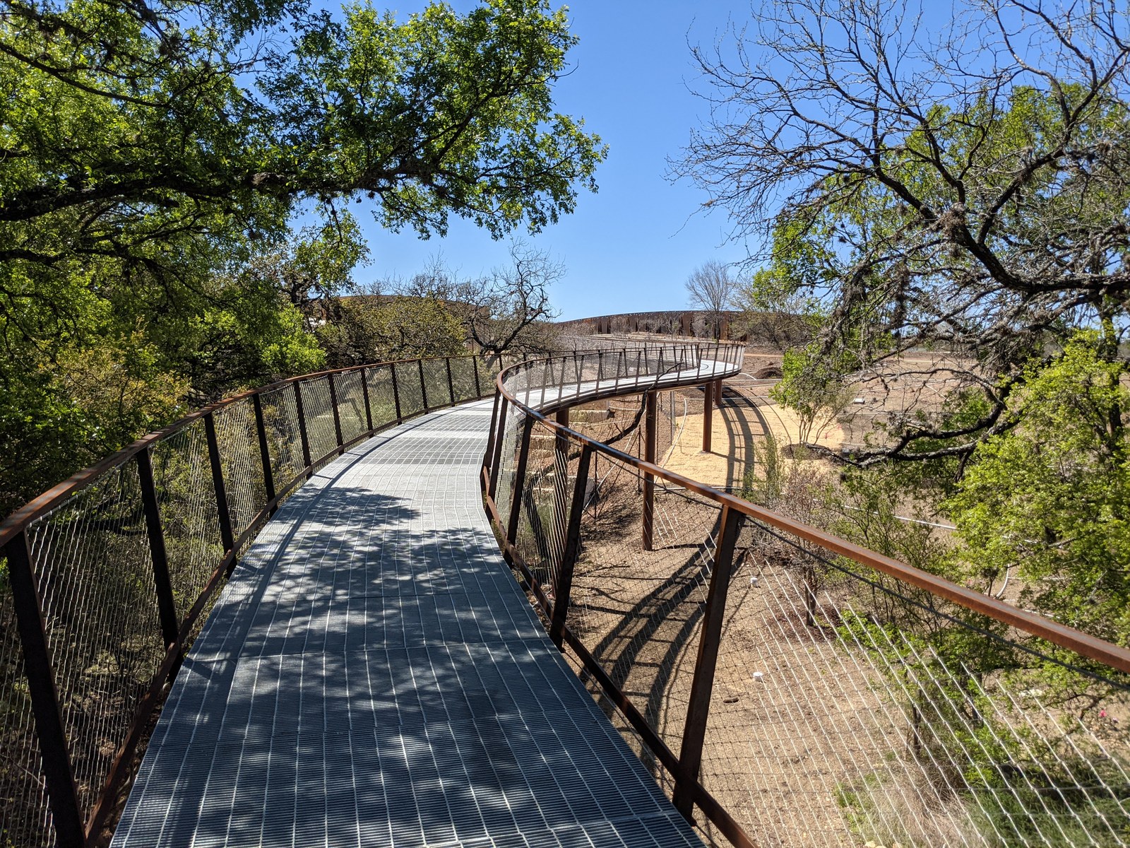 Lối đi bằng lưới thép uốn cong xuyên qua tán cây trên Land Bridge tại công viên Phil Hardberger