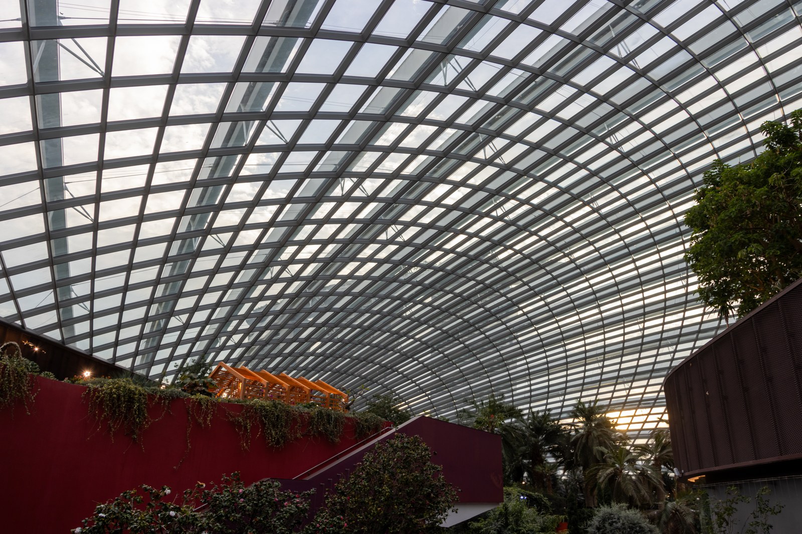 Mái kính cong bên trong nhà kính Cooled Conservatory nhìn từ dưới lên