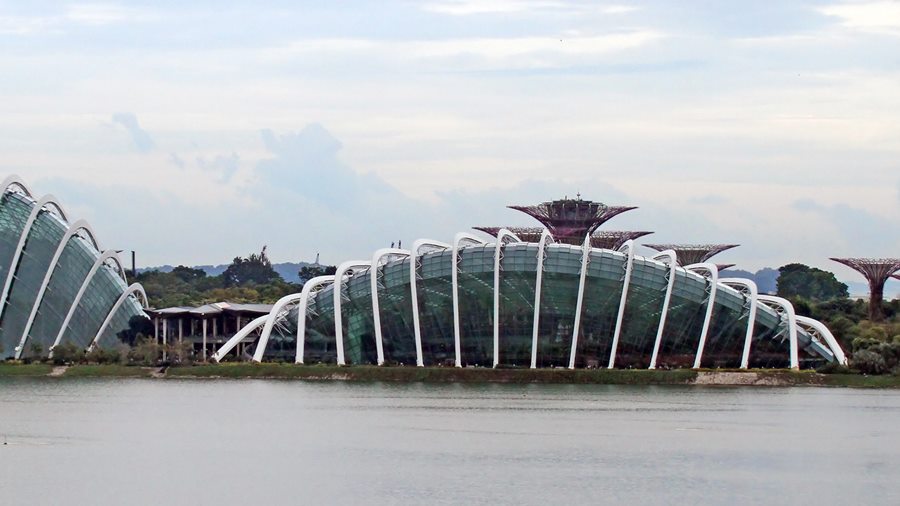 18 cái cây thép ở Gardens by the Bay giấu cả hệ thống làm mát bên trong