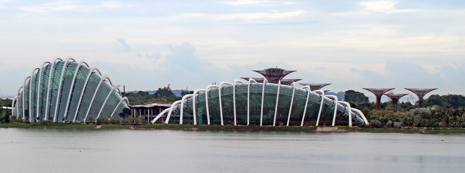 Hai mái vòm kính Flower Dome và Cloud Forest nhìn từ mặt nước phía vịnh