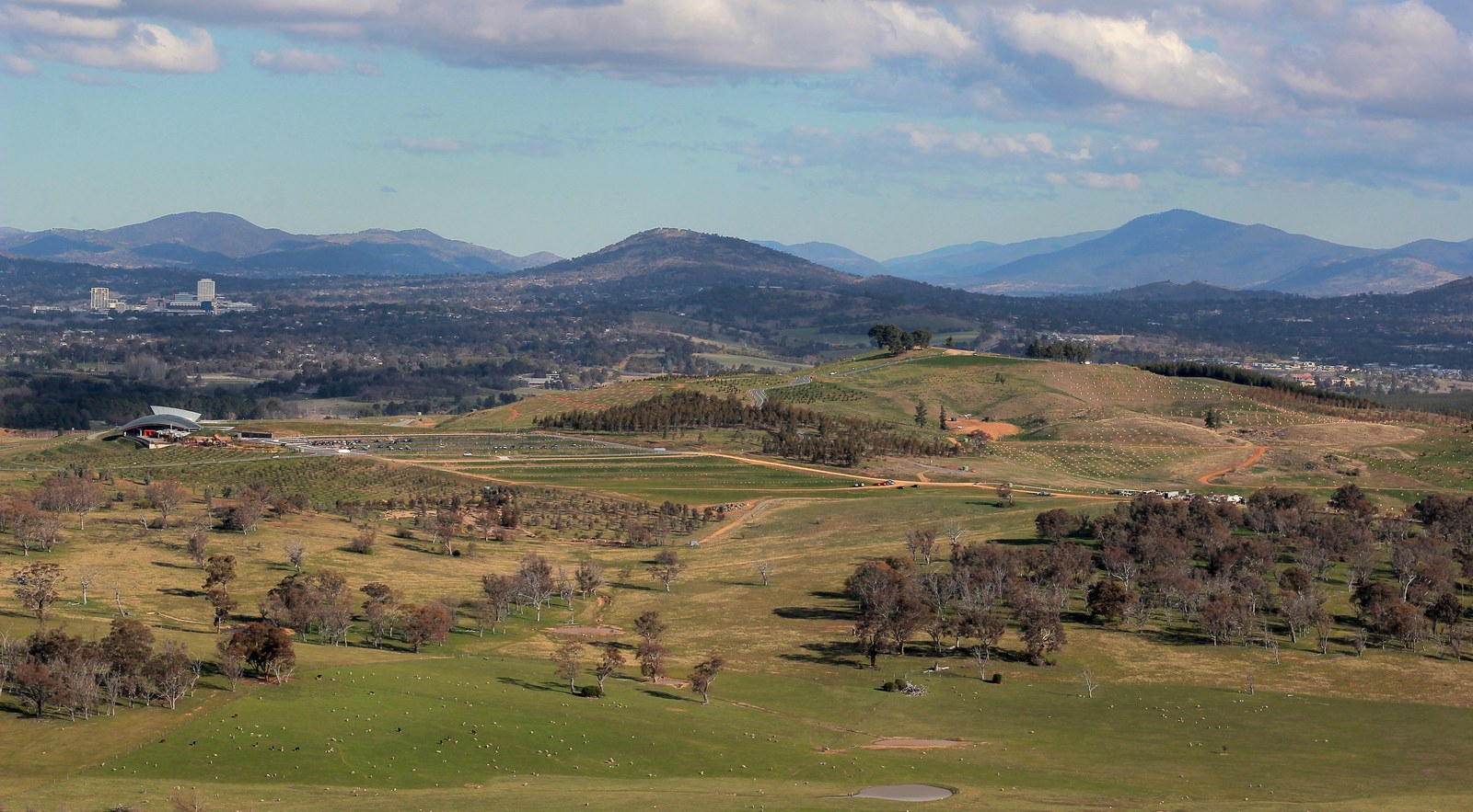 Nhìn từ điểm cao trong khu đất, các mảng rừng trồng theo loài tại National Arboretum Canberra