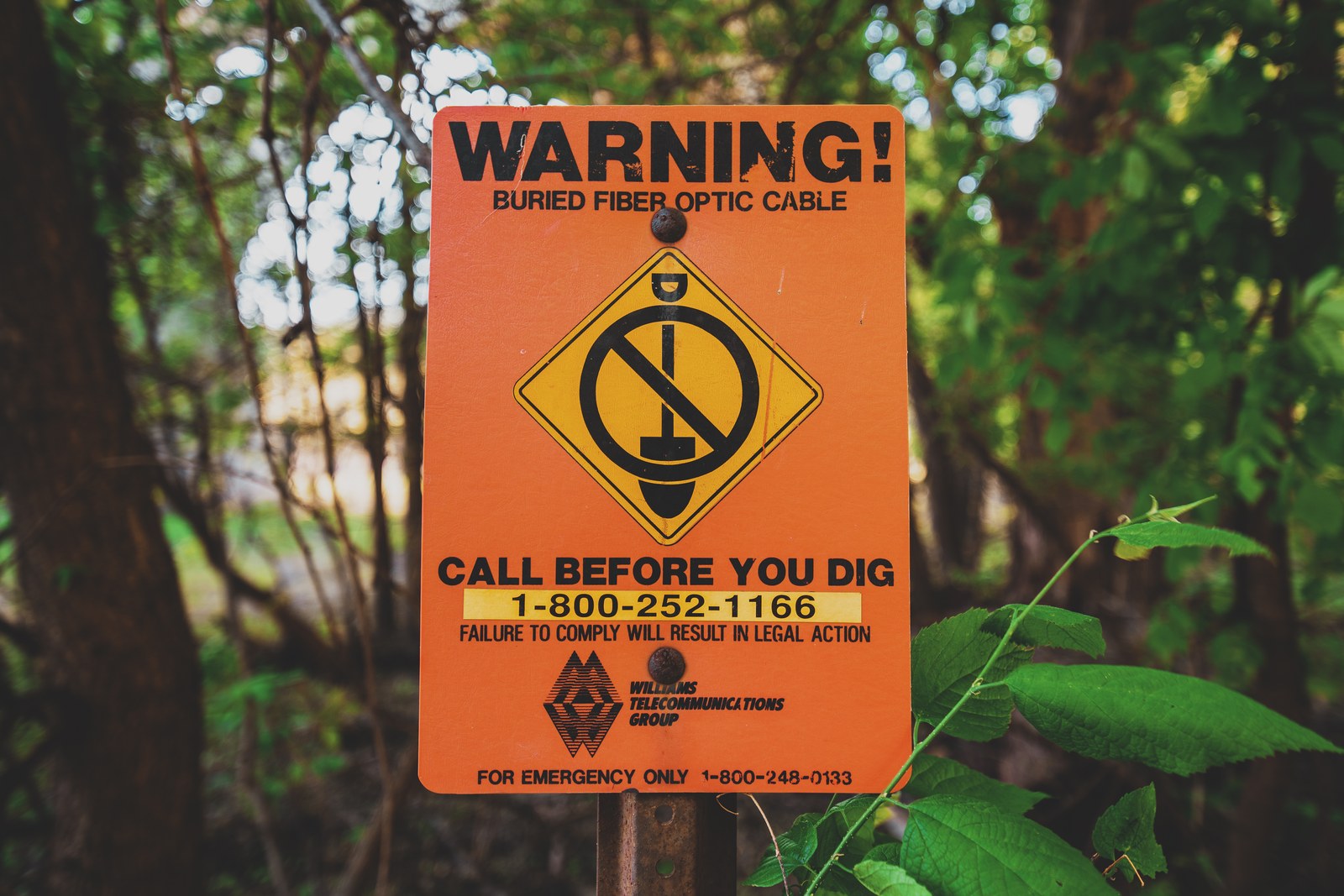 Biển báo màu vàng cam ghi “WARNING buried fiber optic cable, call before you dig” cắm cạnh một gốc cây trong sân.