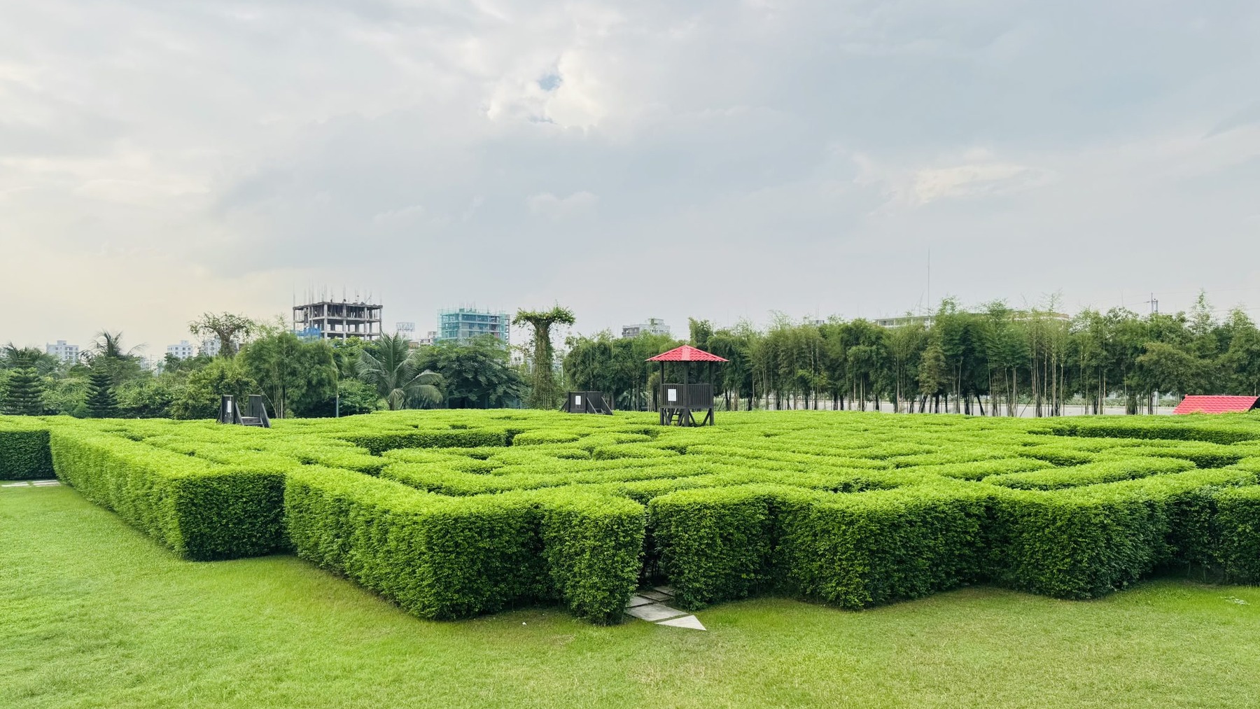 TƯỜNG-TRẦN-SÀN BẰNG CÂY — sân vườn có phải chỉ cần trồng cây cho đẹp?