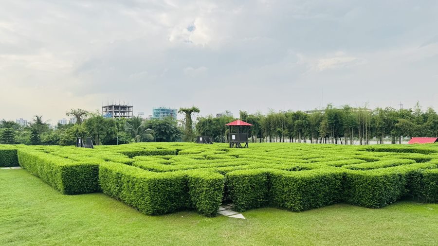 TƯỜNG-TRẦN-SÀN BẰNG CÂY — sân vườn có phải chỉ cần trồng cây cho đẹp?