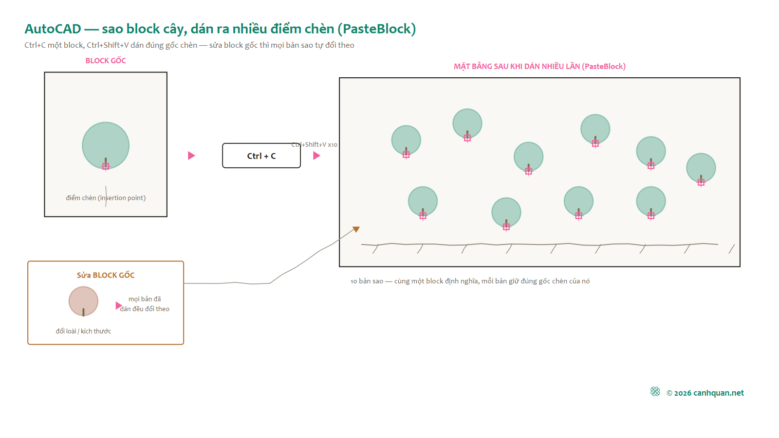 Sơ đồ nhân một block cây thành nhiều bản trên mặt bằng