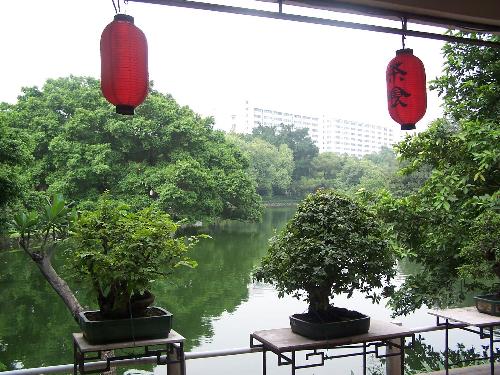 Hai chậu cây thu nhỏ đặt trên lan can sát mặt hồ, đèn lồng đỏ treo phía trên